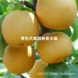 ���h���������޽ӹ��������Ә��箔��Y�����Nˮ������������