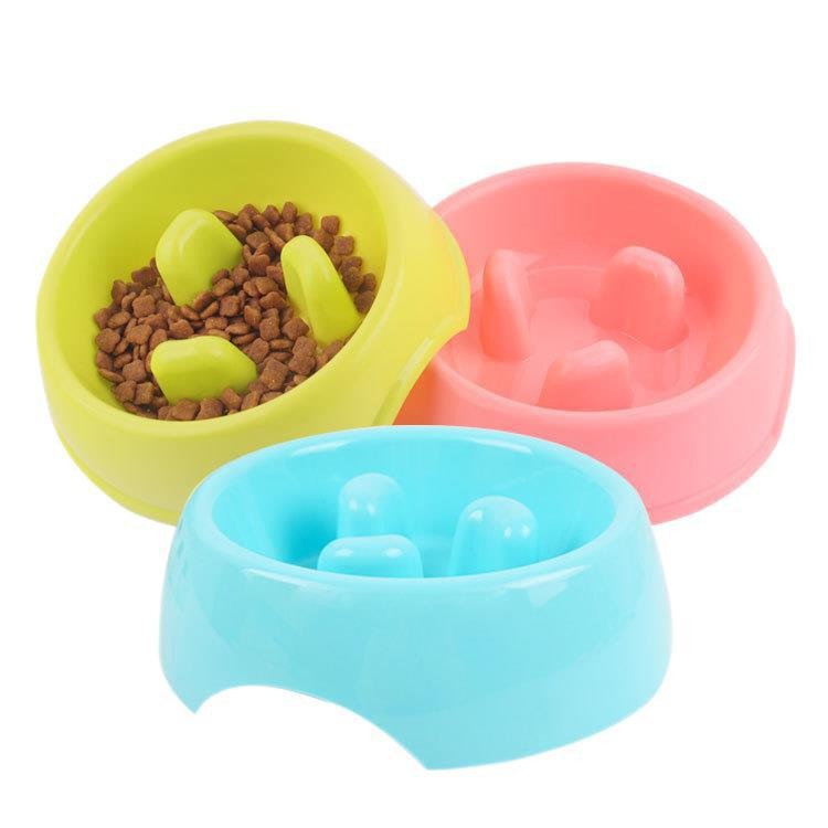 Recommended pet products: pet dog bowl