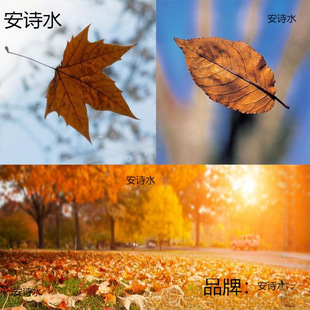 ��Ȼ����~��ͩ�~�����~�y���~�����~�bzӰ���߸ɘ��~�ֹ����~
