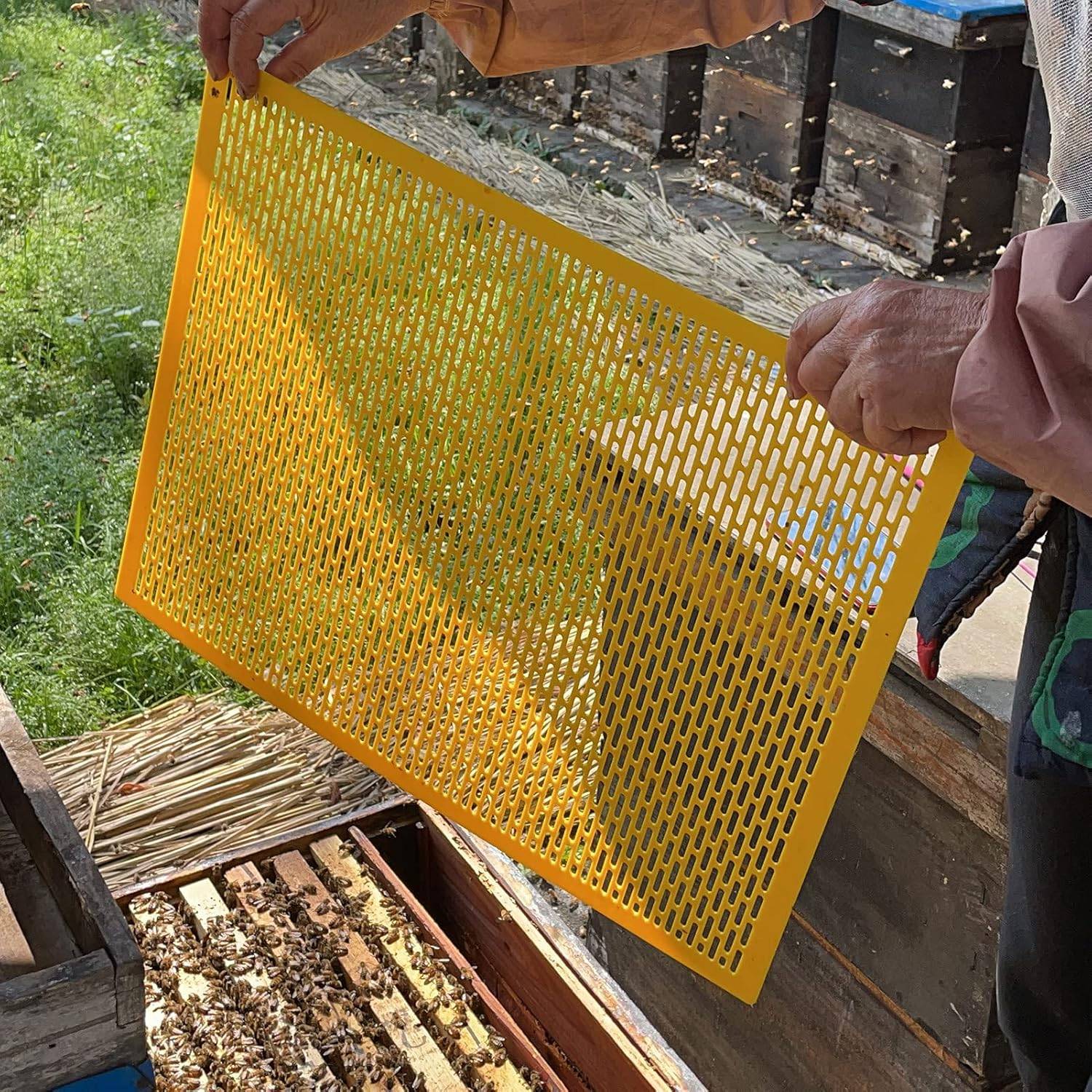 O1CN01ZE0C351MF5BQU562x_!!2212061301404-0-cib.jpg?__r__=1763971583955