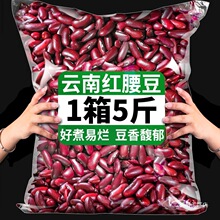 ����خa�t������t���r���ԷN�tܿ����؛��W��˼t���������l