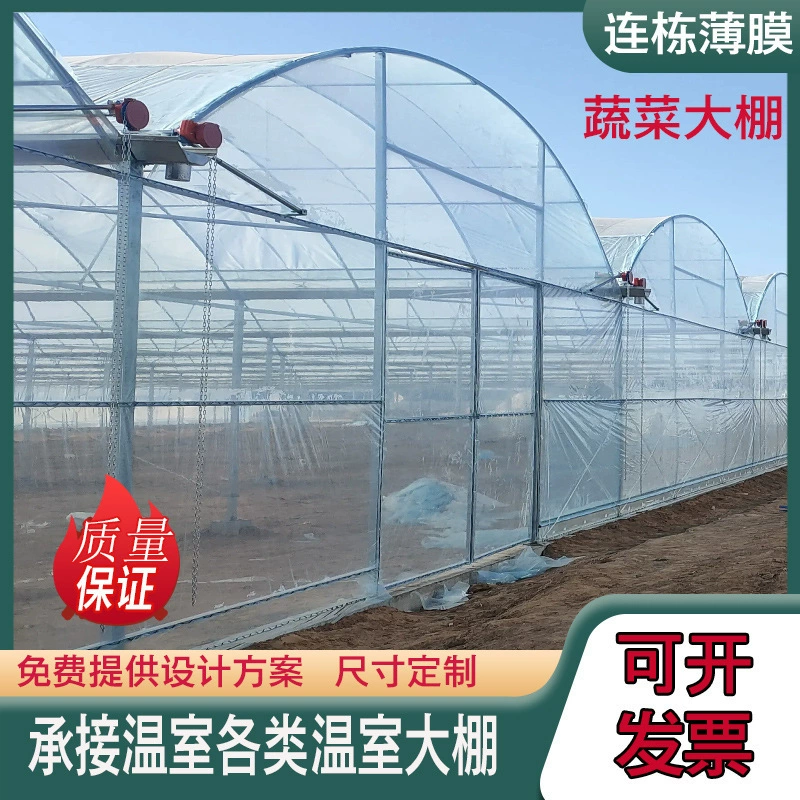 Многосекционная теплица для выращивания овощей, многосекционная арочная оцинкованная теплица для разведения и сбора урожая