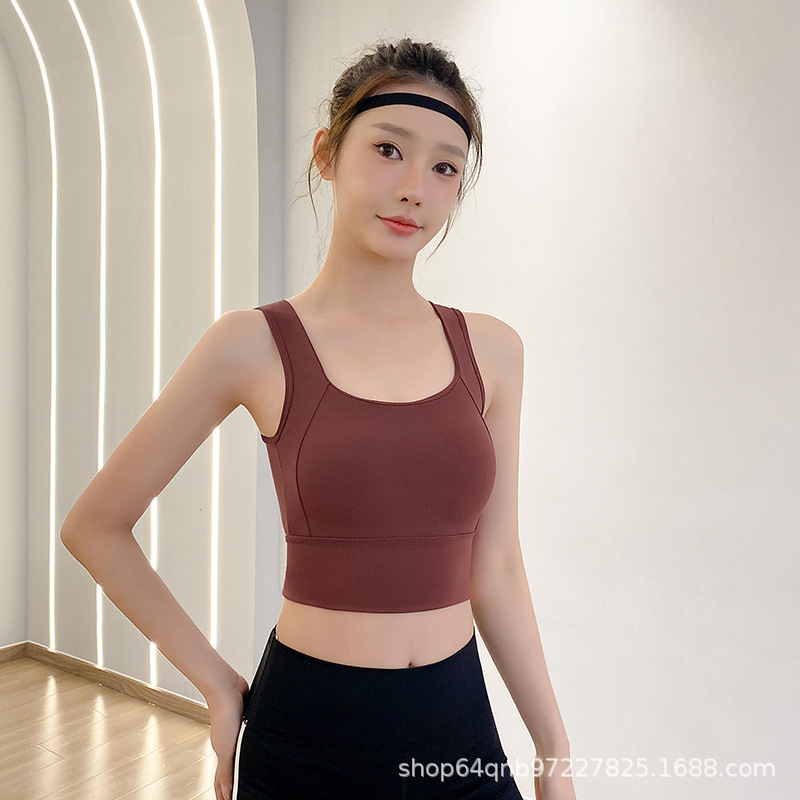 앵커 레드