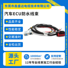 ECU܇ˮBӾ AMPƾ ɫW܇늾