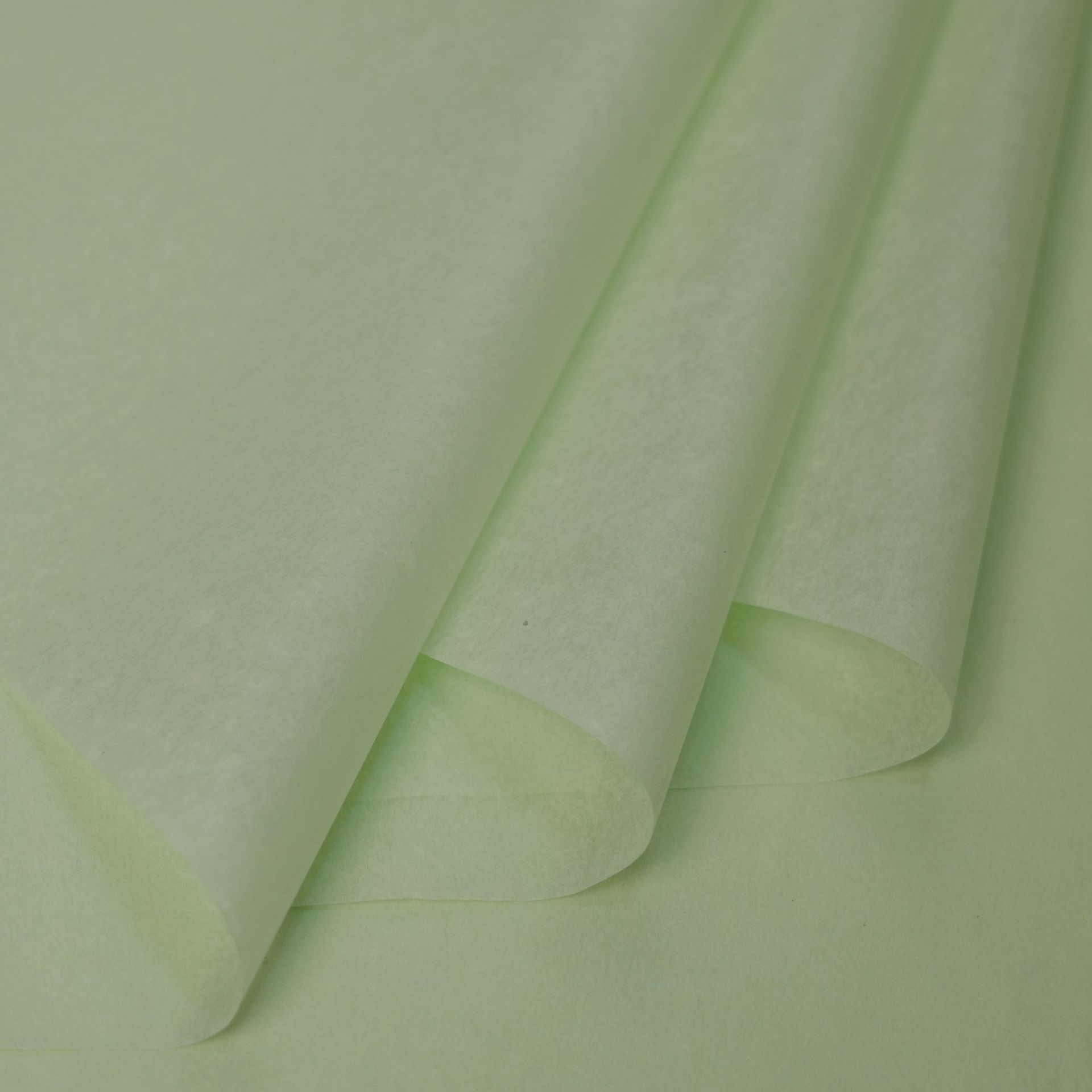 단색 과일 그린 36 사진