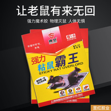 �S�Ҷ��Ƽ��Ï���ճ����zճ����ճ�Ӵ������N����岶�������x