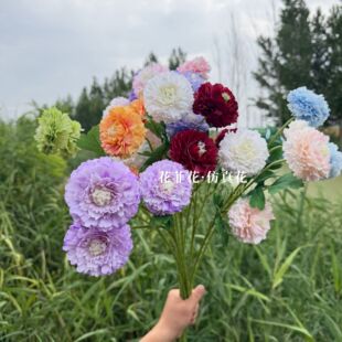 ��Ʒ3�^ǧ��ĵ����ș��c���滨�Ƶ��Y��·�����Ų廨������ˇ
