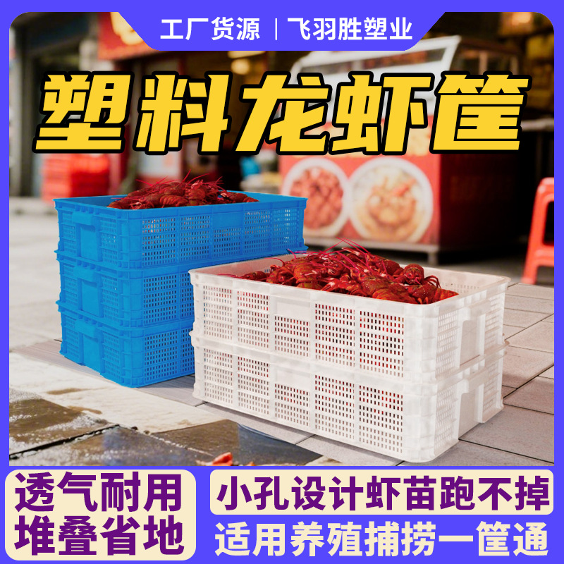 加厚密眼虾苗筐小龙虾框塑料镂空小孔筐蓝白双色现货厂家批发
