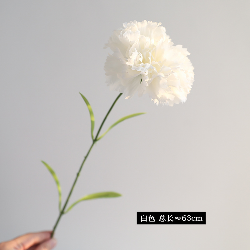 10#하얀색
