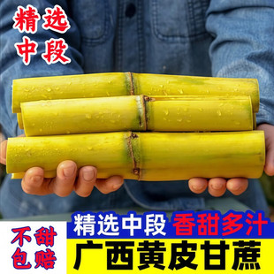 �S�����V���S�����10�����r�������ЋDˮ��������SƤ�����خa��