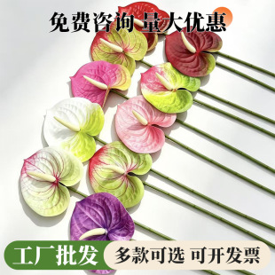 ����ܛ�z3D�t�ư����̈������쾰�ٻ� ��Y�廨�bҾ��ָл��