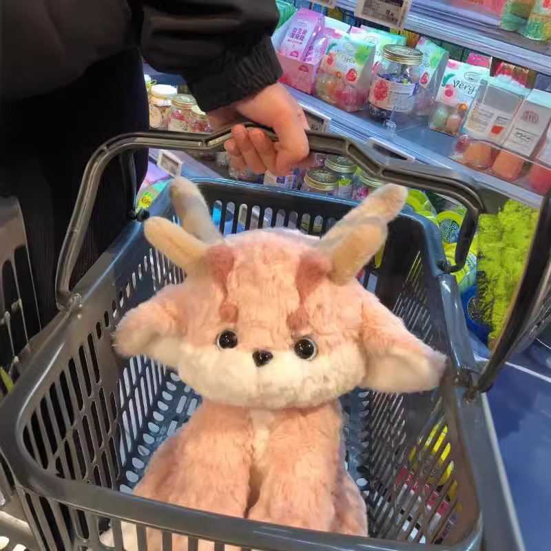 Toy