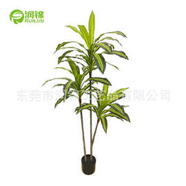北欧仿真巴西铁盆栽龙血铁假盆景装饰荷兰铁热带植物室内居家装饰