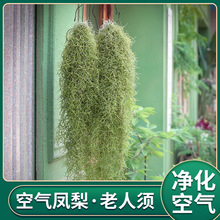 ���]��������}�՚�ݿ՚��P��o��ֲ��Gֲ�������ҿ͏d�����՚�