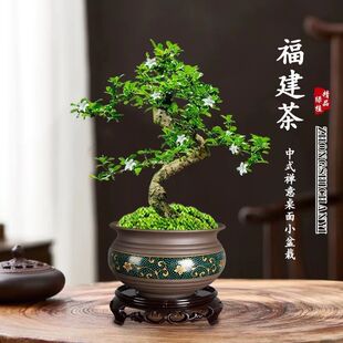 �������辰С�����Rˮ���������҃ȾGֲ���ܶU����ʽ�[����׺��B