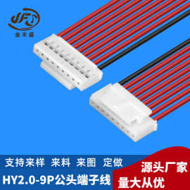 金丰盛定制 HY2.0端子线9P 1007#24AWG红黑电子线 机内公头线材