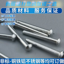 半圆头铆钉铁实心汽车紧固件304铁镀镍敲击式半圆头铆钉现货直发