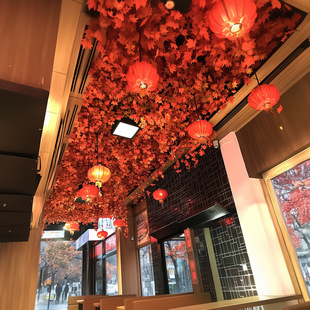 ������~����b��٘��~�������ʽ�͏d�컨���쾰�ٗl�ܵ��ڳ�