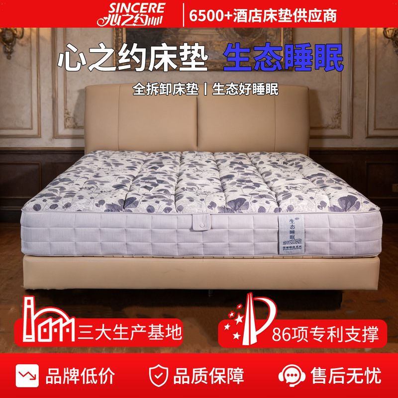 Heart's Promise Mattress: Eco-friendly Sleep, Fully Detachable Mattress, Star Hotel & B&B Bedding, Customized Steel Spring Mattress
