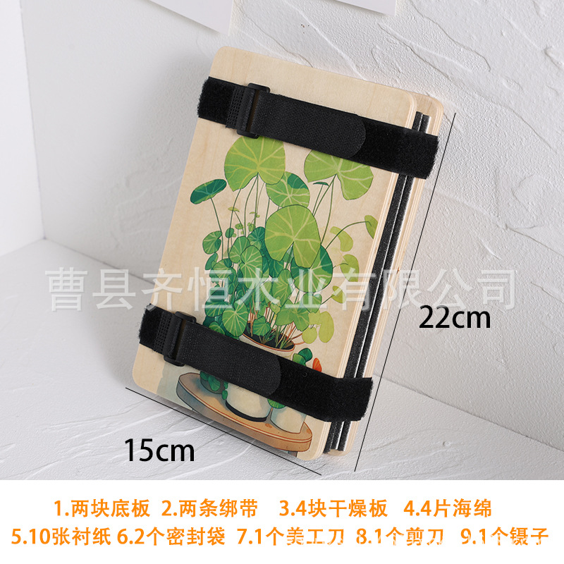 Tiktok impresora planta espécimen herramienta de fabricación hecha a mano flor seca rebanadas de fruta hojas secas DIY