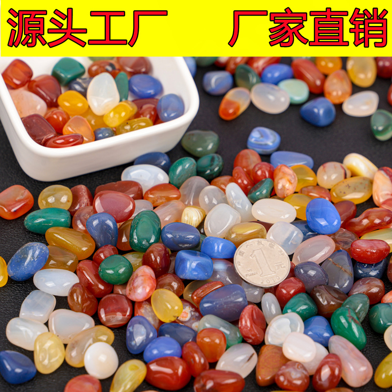 IMG_5113_副本_副本