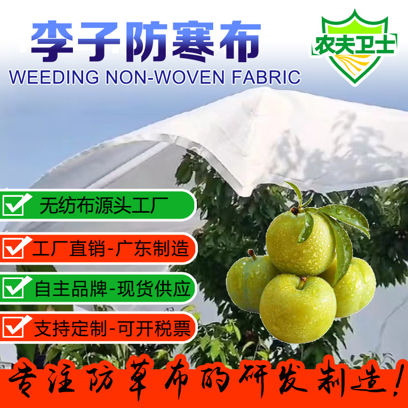 李子防雨防寒布柑橘果树无纺布不烧果防水保温透气防霜防冻布直销