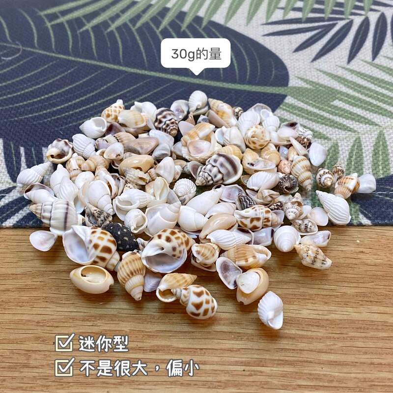 石塑粘土贝壳冰箱贴手工制作DIY海螺贝壳玛瑙免烧免考材料包|undefined