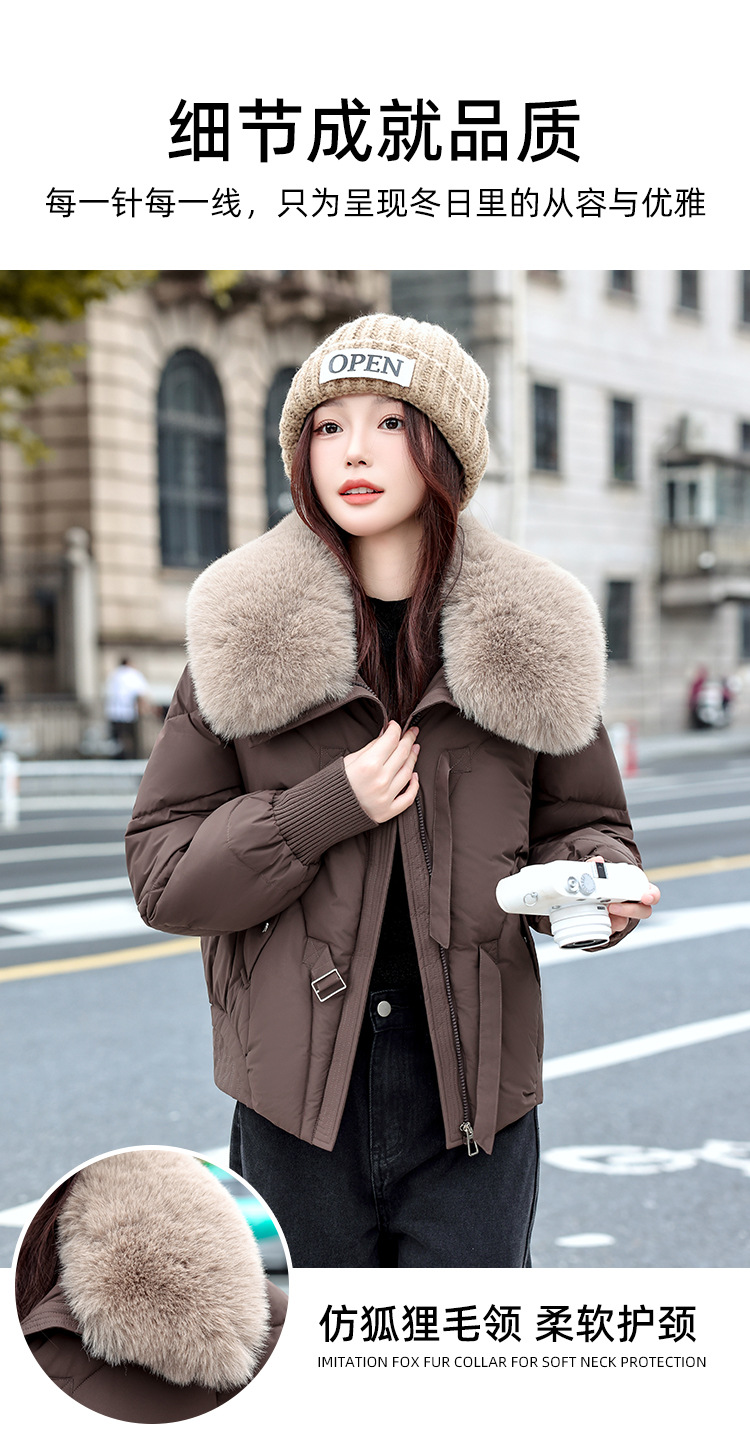 5135_05.jpg