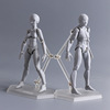 绘画素体 figma 青年版 2.0素体 肌肤银灰男女 关节可动 手办人偶|ms