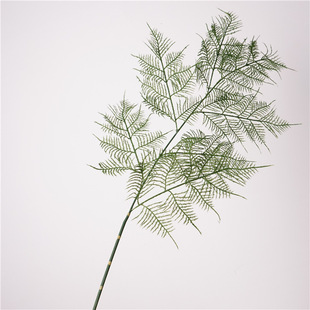 ��Ʒ�|����ֲ��ֲë������ʽ�L��ŵ���Ȼ������~�ݼҾ��b�ާ�~