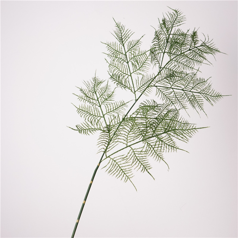 高品质仿真植物植毛文竹中式风格古典自然仿真金鱼草家居装饰蕨叶