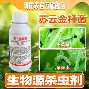 �K녽�U��bt�����rș���x�������x����x��������ë�x�rș���l