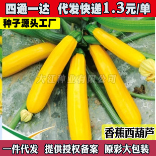 �㽶�����J���Sɫ�����J�ϷN�ѷN���r�ҷ������������߲˷N��