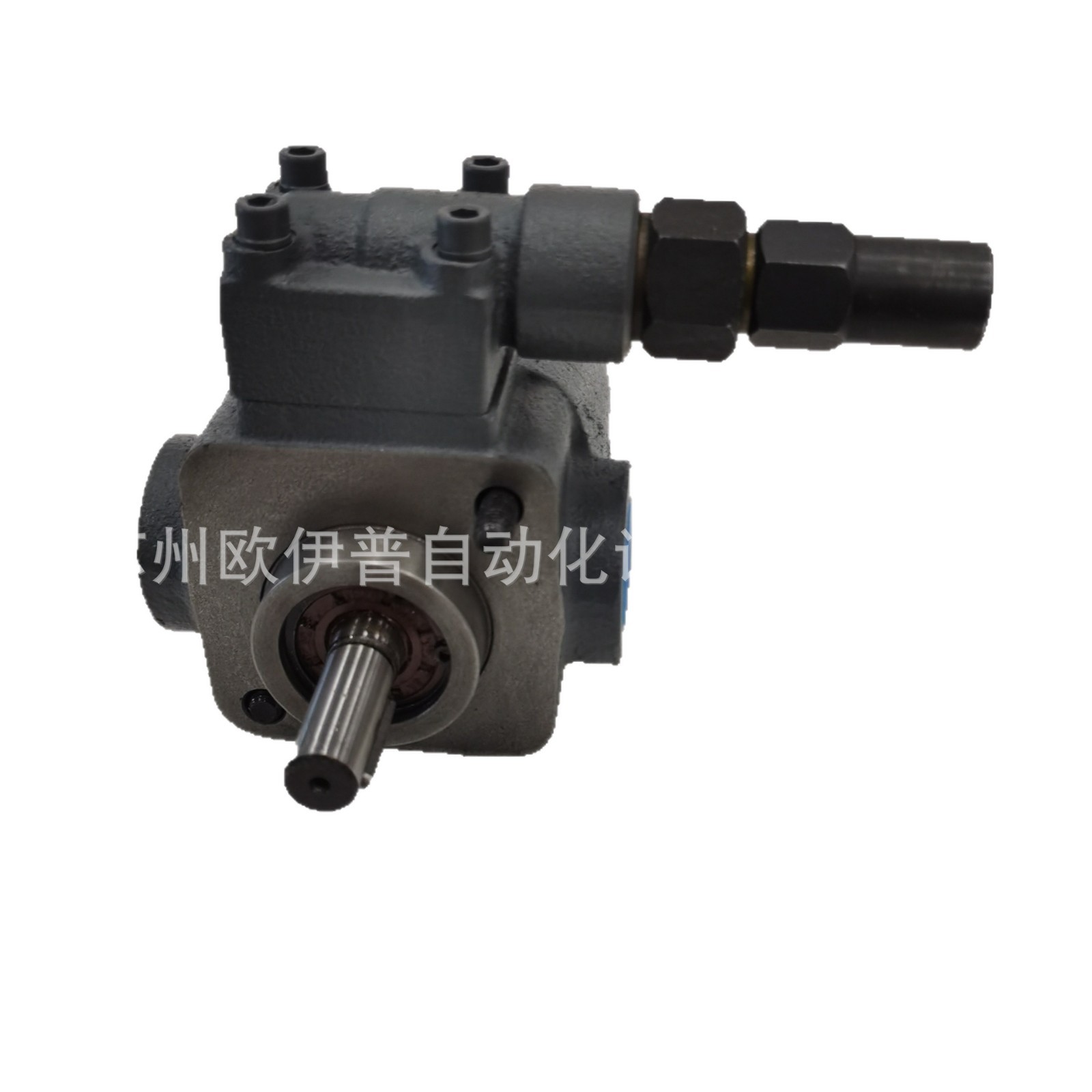 Мотор-насосный агрегат Ruili REXPOWER RBB-206Y 1.5кВт