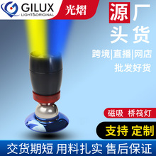 源头工厂USB调焦双光磁吸筏钓灯 led夜钓灯户外桥筏 钓箱专用灯头
