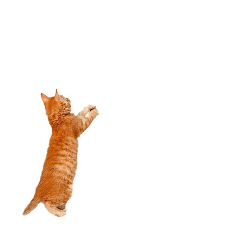 新しい電動猫面白いボールペットのおもちゃ昇降可能な毛玉面白い猫スティック自己楽しい猫電動面白いボール|undefined