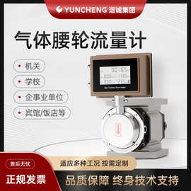 气体腰轮流量计天然气燃气计量厂家现货LLQ智能罗茨隔爆型大流量