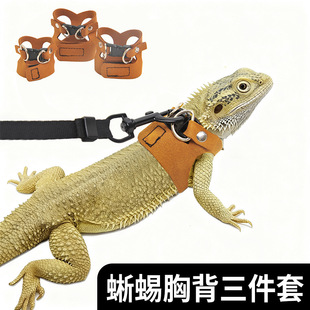 ���栿���K������������ر���׃ɫ��������wʽ������