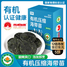 �ЙC���s������z���؛��Ş���������rϼ���خa��偛�������