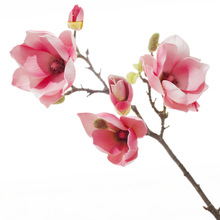 EVA玉兰花手工花仿真花工艺品场景摆设婚庆道具婚庆布置婚礼假花