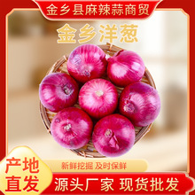 2025��؛��Ƥ���[ˮ�����[�r��������Լt���[�^ɽ�|�A�[���l