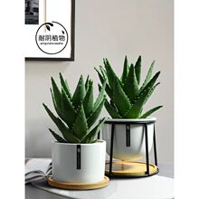 �J�C�k�����҃�����Gֲ���B�����·�����ȩ���ܷ�ݗ��С����ֲ��