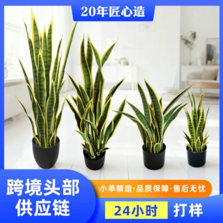 仿真虎皮兰植物盆栽橱窗装饰绿植摆件黄边虎皮龙舌兰仿真绿植景观