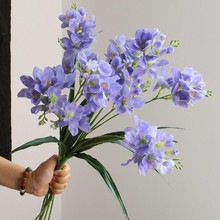 ��ѩ�m���滨�ٻ��ָб���͏d�����[�O�҃��b���ܛ�b��ˇ�[��