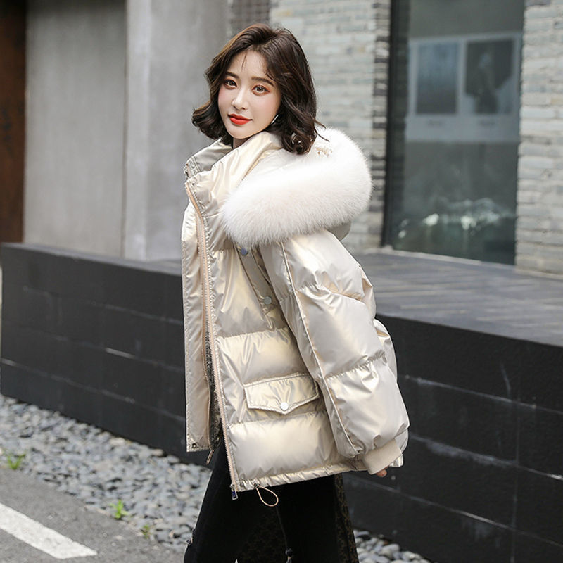 샴페인