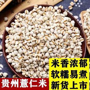 ������޲��2025����������s�Z���r��޲����޲���������r��޲����