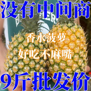 ���r���}����ˮ���}������}�����ˬ��˺���}�����خa