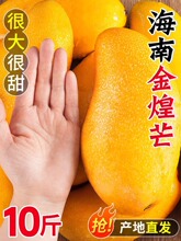 ���Ͻ��â��10�����r�Ꭷˮ��������ˮ��â����â���خa������]