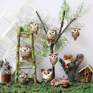 ����[���׃��@ɭϵֲ��Ǒ����b@�^���^�e��ͥԺ���@����