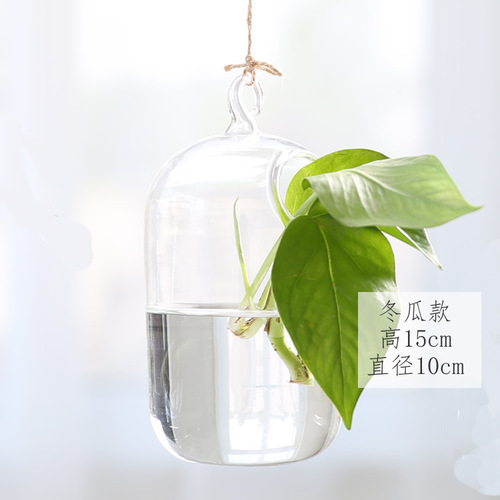 Creative hanging fish tank, hydroponic glass hanging bottle, wedding decorations, creative home crafts